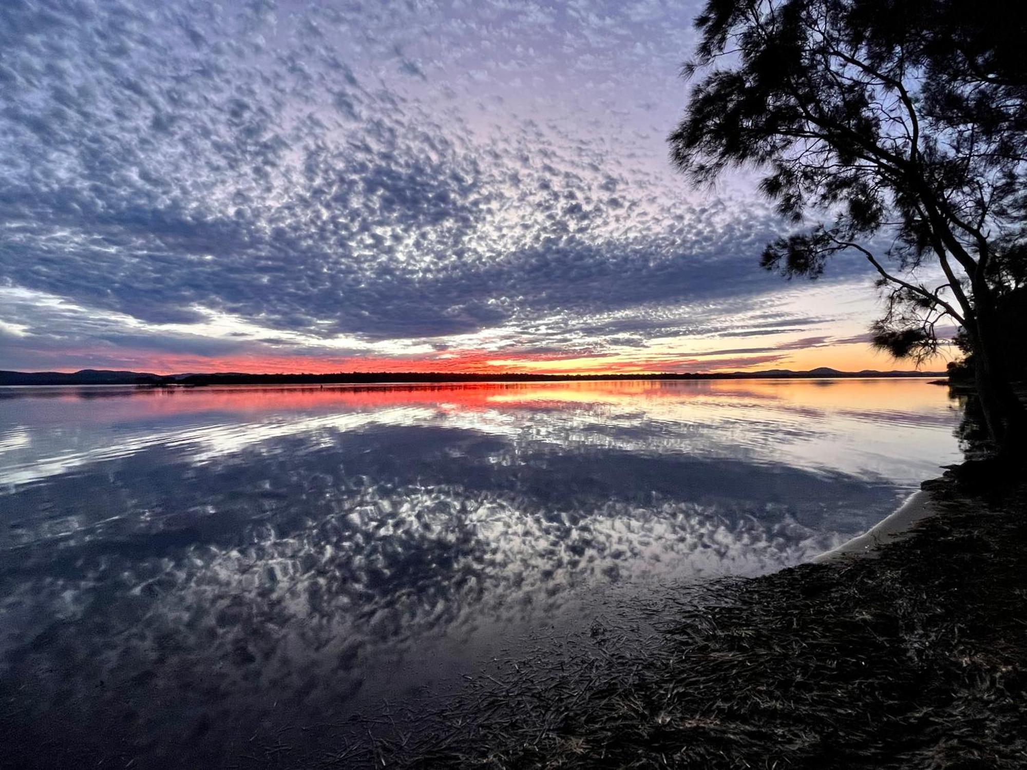 Lakeview Lodge Forster Kültér fotó